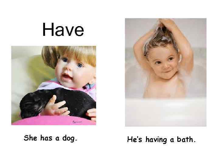 Have She has a dog. He’s having a bath. 