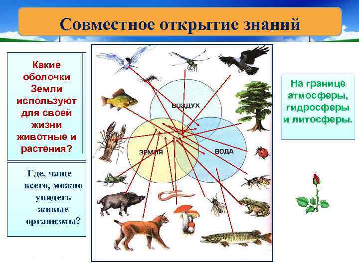  Совместное открытие знаний Какие оболочки На границе Земли атмосферы, используют гидросферы для своей