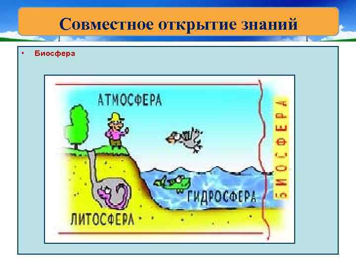 Организмы окружающий мир 3. Что такое организмы окружающий мир. Что такое организмы 3 класс окружающий мир. Организмы это окружающий мир 3 класс определение. Живые организмы окружающий мир 3 класс.