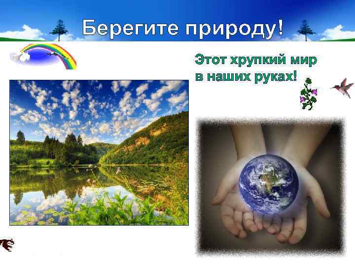 Берегите природу! Этот хрупкий мир в наших руках! 