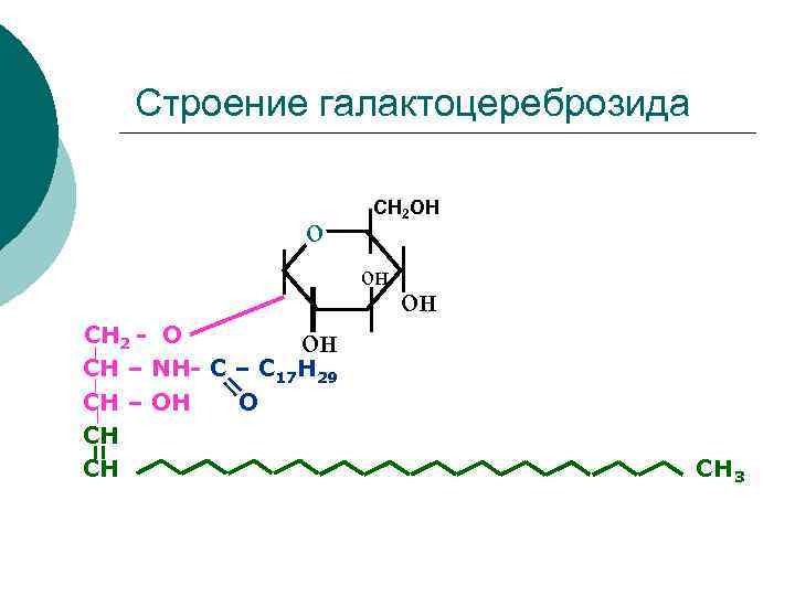  Строение галактоцереброзида СН 2 ОН он он СН 2 - О он СН
