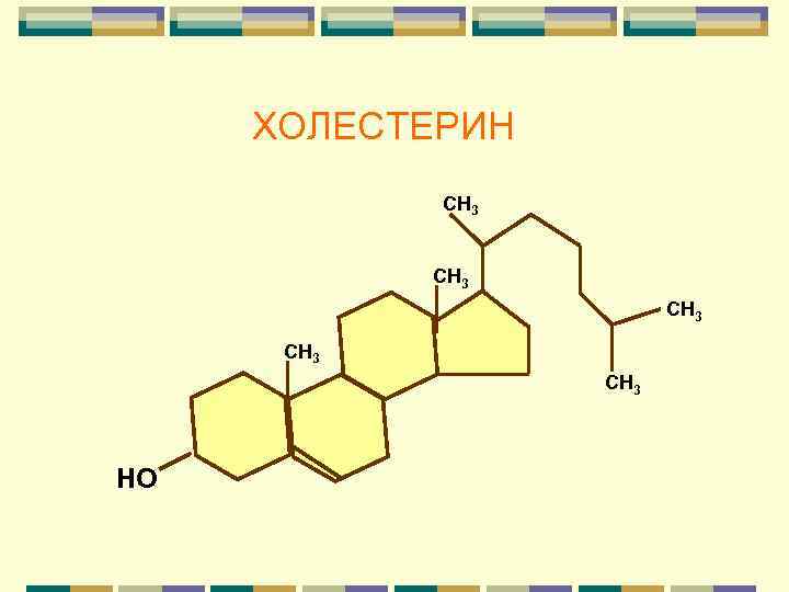  ХОЛЕСТЕРИН СН 3 СН 3 НО 