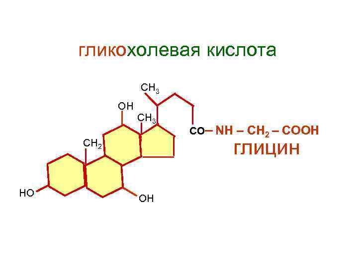  гликохолевая кислота СН 3 ОН СН 3 СО– NН – СН 2 –