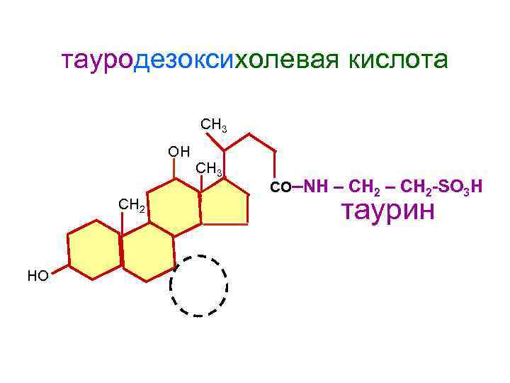  тауродезоксихолевая кислота СН 3 ОН СН 3 СО–NН – СН 2 -SO 3