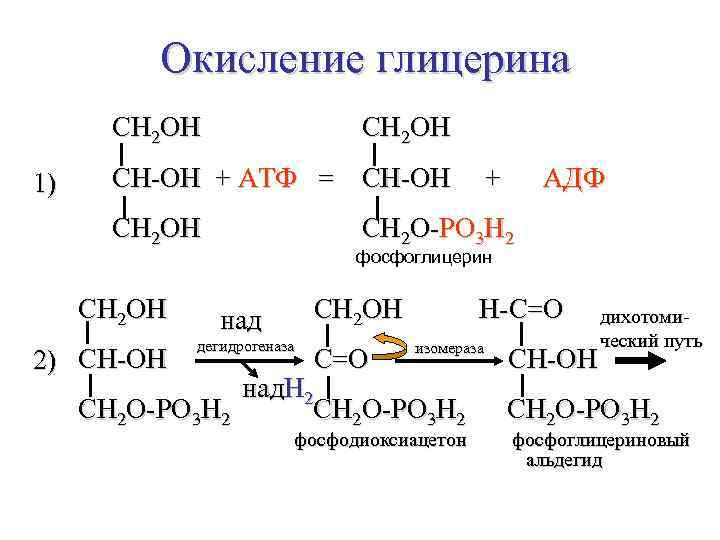 Окисление глицерина СН 2 ОН 1) СН-ОН + АТФ = СН-ОН + АДФ