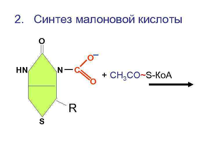 2. Синтез малоновой кислоты О О НN N С + СН 3 СО~S-Ко. А