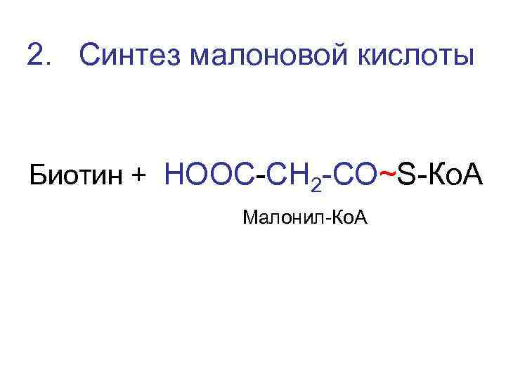 2. Синтез малоновой кислоты Биотин + НООС-СН 2 -СО~S-Ко. А Малонил-Ко. А 