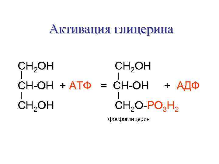  Активация глицерина СН 2 ОН СН-ОН + АТФ = СН-ОН + АДФ СН