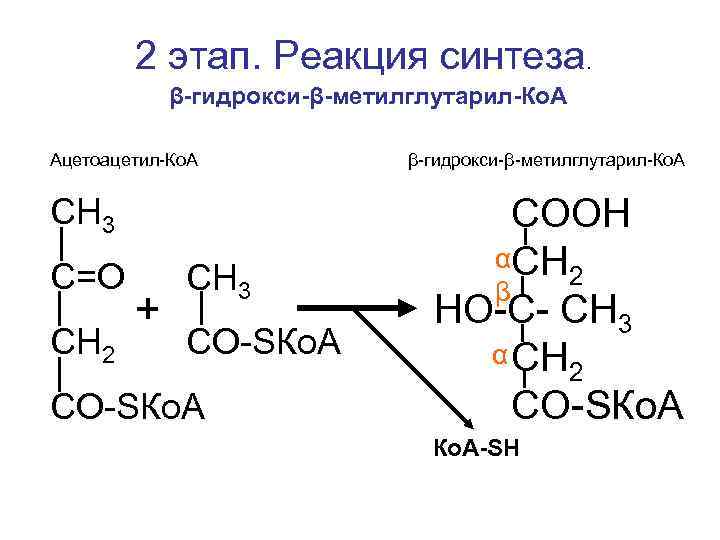  2 этап. Реакция синтеза. β-гидрокси-β-метилглутарил-Ко. А Ацетоацетил-Ко. А β-гидрокси-β-метилглутарил-Ко. А СН 3 СООН