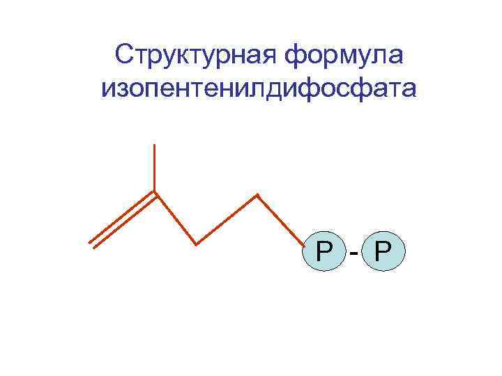  Структурная формула изопентенилдифосфата Р - Р 