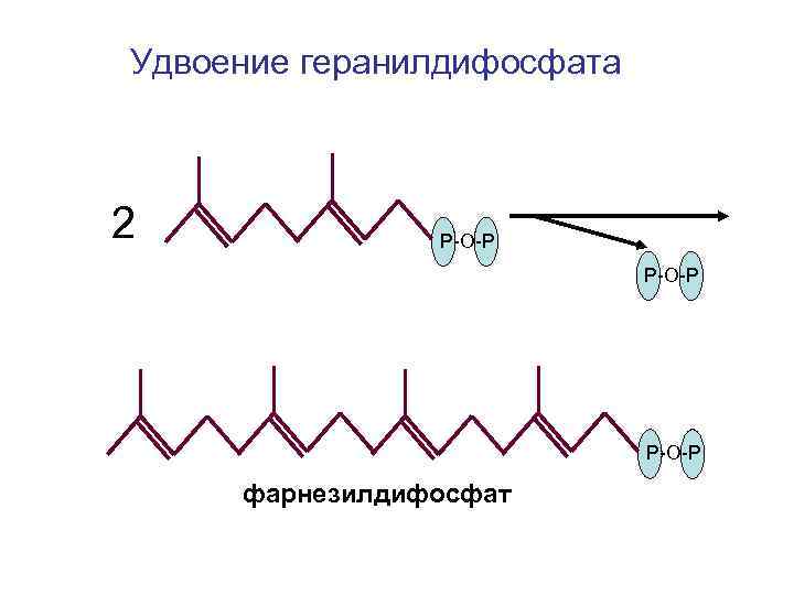 Удвоение геранилдифосфата 2 Р-О-Р фарнезилдифосфат 