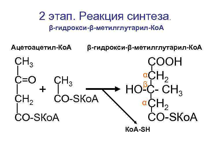 2 этап. Реакция синтеза. β-гидрокси-β-метилглутарил-Ко. А Ацетоацетил-Ко. А β-гидрокси-β-метилглутарил-Ко. А СН 3 С=О СН
