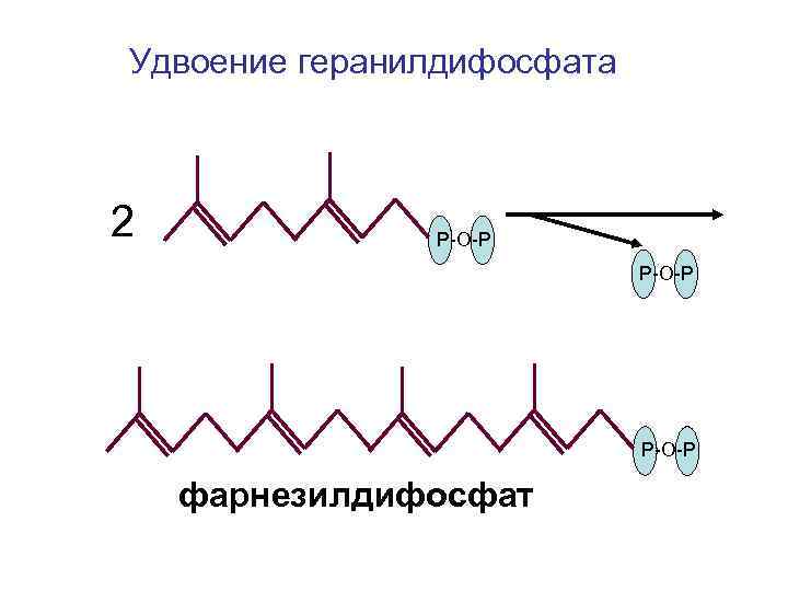 Удвоение геранилдифосфата 2 Р-О-Р фарнезилдифосфат 