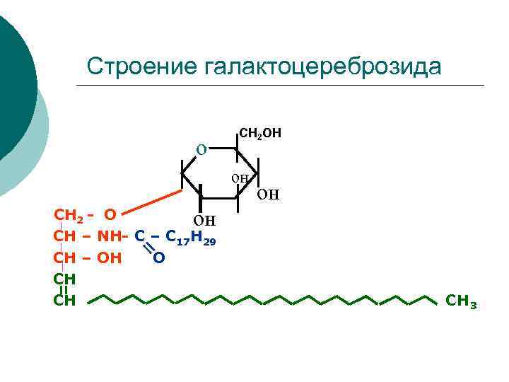 Строение галактоцереброзида о СН 2 ОН он СН 2 - О он СН –