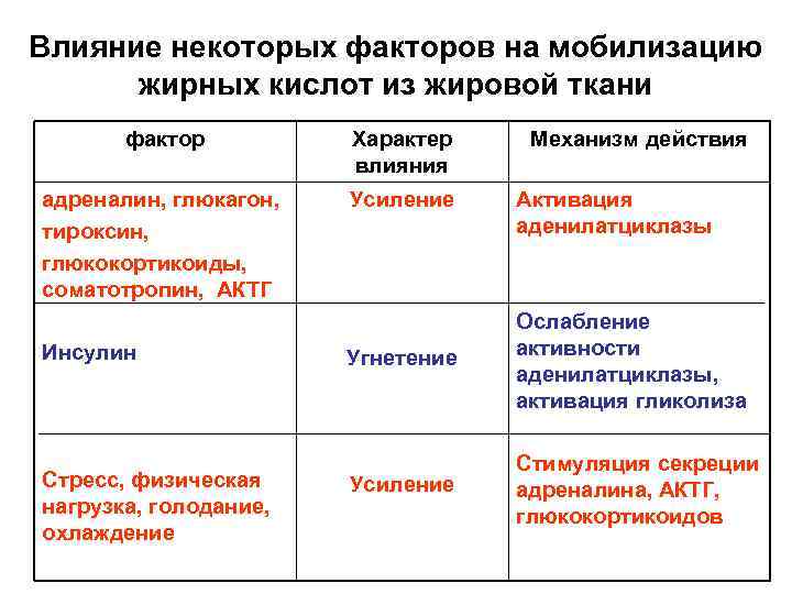 Фактор ткани. Влияние АКТГ на углеводный обмен. АКТГ гормон влияние на углеводный обмен. Влияние глюкагона на углеводный обмен. Влияние адреналина на углеводный обмен.