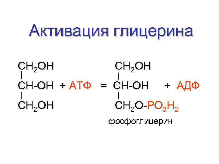 Активация глицерина СН 2 ОН СН-ОН + АТФ = СН-ОН СН 2 ОН +