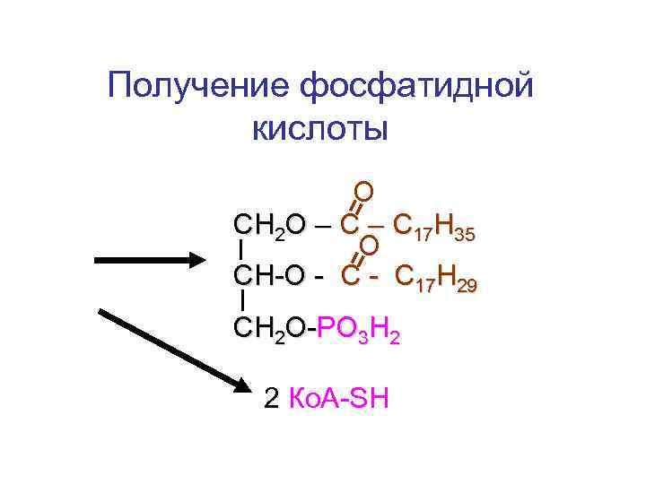 Схема образования фосфатидной кислоты содержащей остатки арахиновой и олеиновой кислот