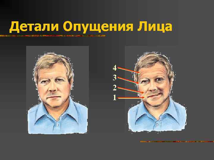 Детали Опущения Лица 4 3 2 1 