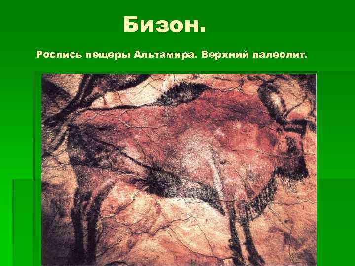 Бизон. Роспись пещеры Альтамира. Верхний палеолит. 
