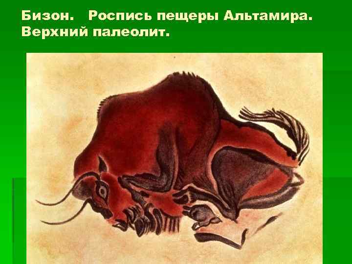 Бизон. Роспись пещеры Альтамира. Верхний палеолит. 