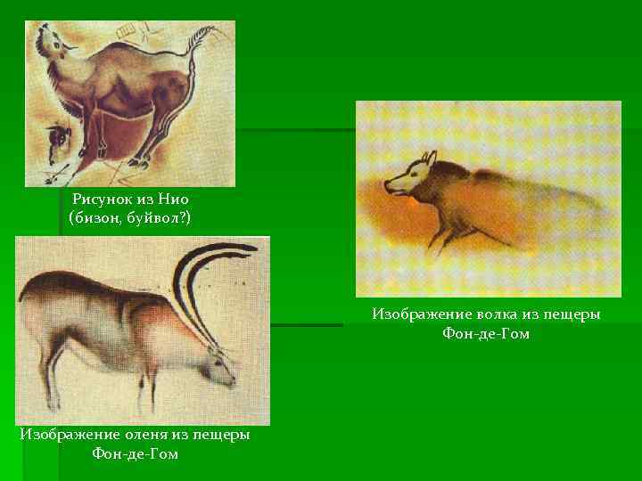 Рисунок из Нио (бизон, буйвол? ) Изображение волка из пещеры Фон-де-Гом Изображение оленя из