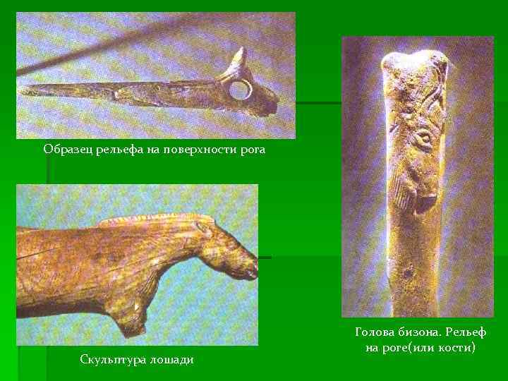 Образец рельефа на поверхности рога Скульптура лошади Голова бизона. Рельеф на роге(или кости) 
