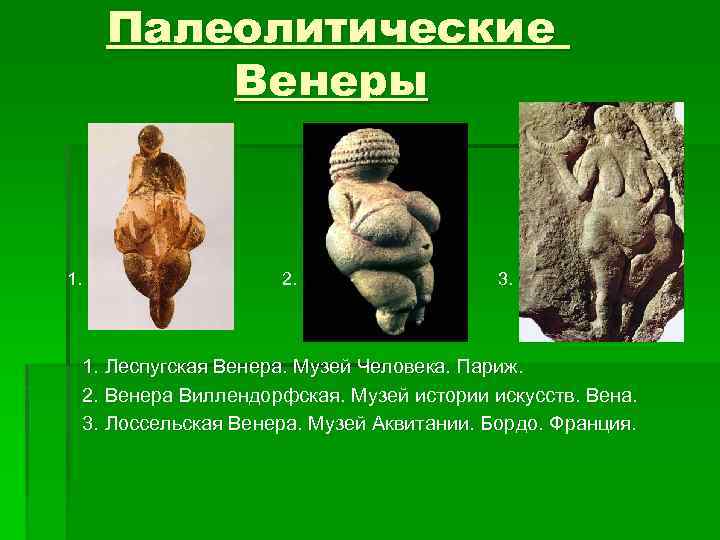 Палеолитические Венеры 1. 2. 3. 1. Леспугская Венера. Музей Человека. Париж. 2. Венера Виллендорфская.
