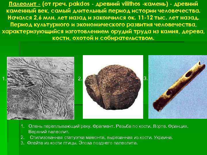 Палеолит - (от греч. pakdos - древний vilithos -камень) - древний каменный век, самый