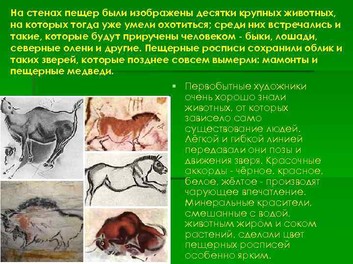 На стенах пещер были изображены десятки крупных животных, на которых тогда уже умели охотиться;