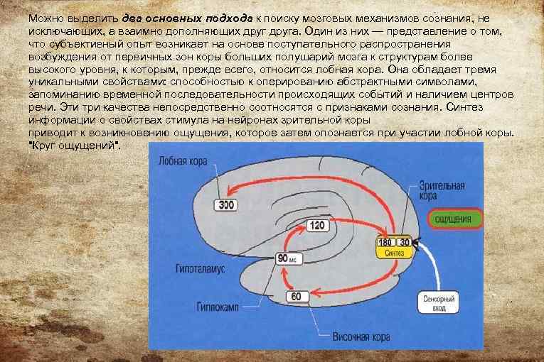 Можно выделить два основных подхода к поиску мозговых механизмов сознания, не исключающих, а взаимно