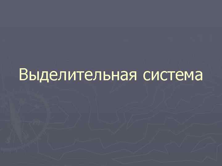 Выделительная система 