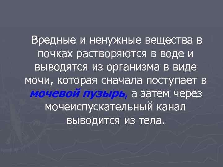 Вредные и ненужные вещества в почках растворяются в воде и выводятся из организма в