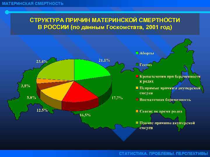 Материнская смертность. Материнская смертность РФ статистика. Структура материнской смертности 2020. Структура материнской смертности в России. Структура материнской смертности в РФ 2019.