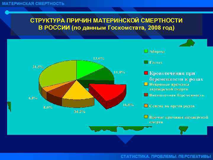 МАТЕРИНСКАЯ СМЕРТНОСТЬ СТРУКТУРА ПРИЧИН МАТЕРИНСКОЙ СМЕРТНОСТИ В РОССИИ (по данным Госкомстата, 2008 год) СТАТИСТИКА.