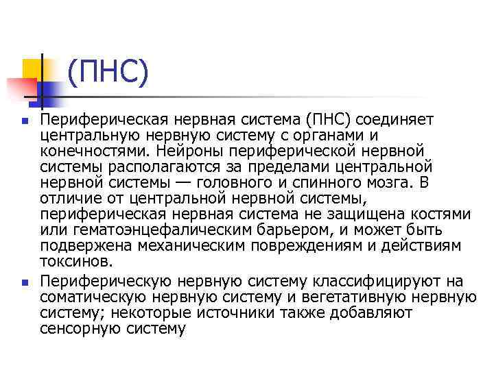 (ПНС) n n Периферическая нервная система (ПНС) соединяет центральную нервную систему с органами и