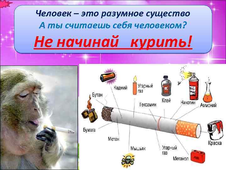 Человек – это разумное существо А ты считаешь себя человеком? Не начинай курить! 