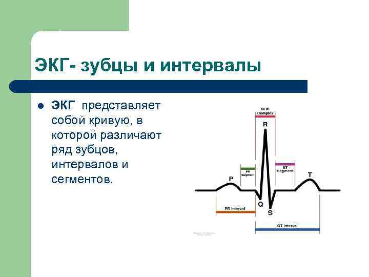 Сегменты экг. Кардиограмма зубцы сегменты интервалы. ЭКГ сердца зубцы сегменты интервалы. Элементы нормальной ЭКГ зубцы сегменты. Нормы зубцов и интервалов ЭКГ.