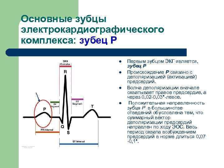 Графическое изображение биотоков сердца называется