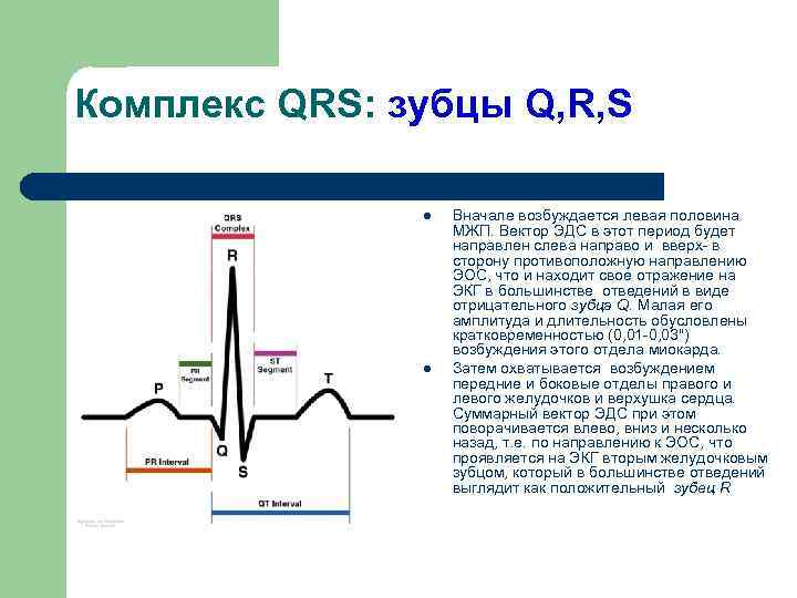 Обозначение зубцов экг p q r s t ввел