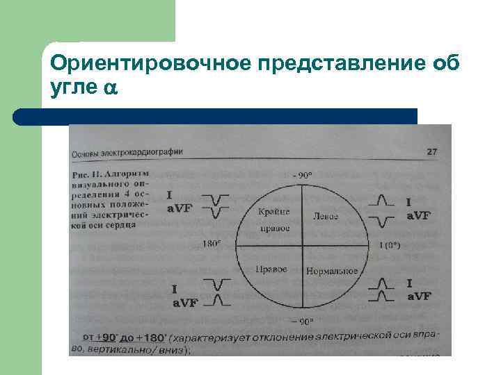 Ориентировочное представление об угле 