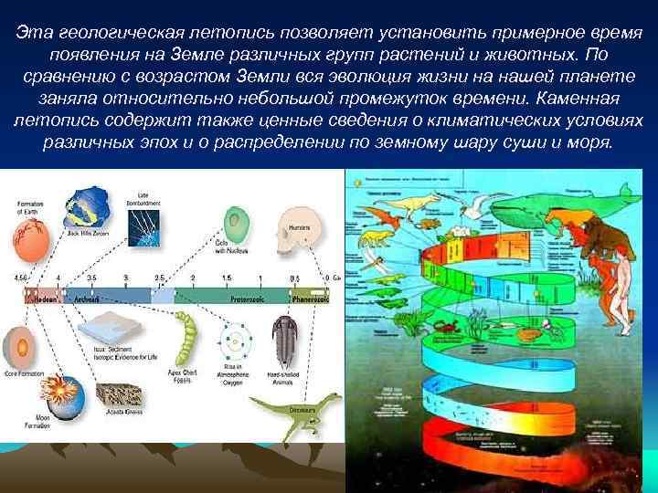 Эта геологическая летопись позволяет установить примерное время появления на Земле различных групп растений и