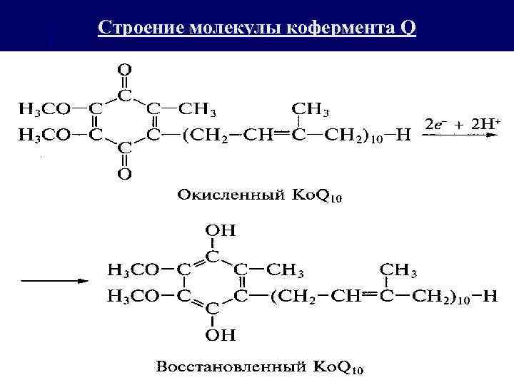 Строение молекулы кофермента Q 