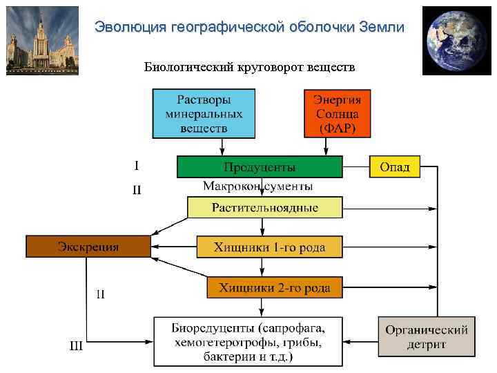 Биологический круговорот география 6 класс презентация