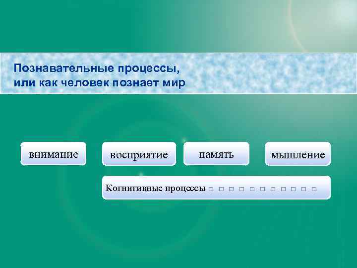 Познавательные процессы, или как человек познает мир внимание восприятие память мышление Когнитивные процессы □