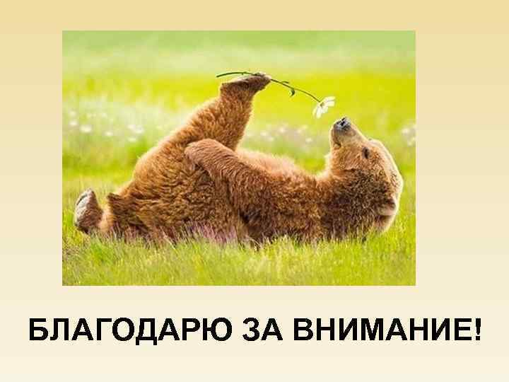 СПАСИБО ЗА ВНИМАНИЕ! БЛАГОДАРЮ ЗА ВНИМАНИЕ! 