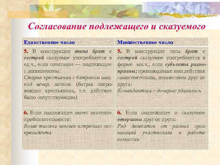 Согласование подлежащего и сказуемого Единственное число Множественное число 5. В конструкции типа брат с