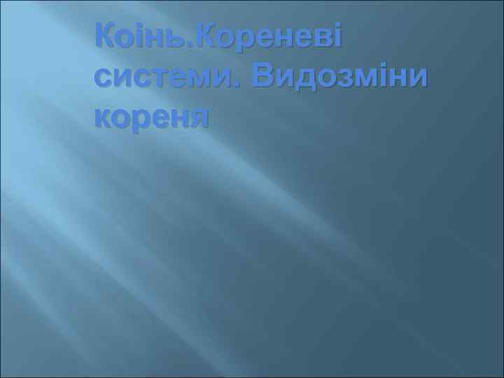Коінь. Кореневі системи. Видозміни кореня 