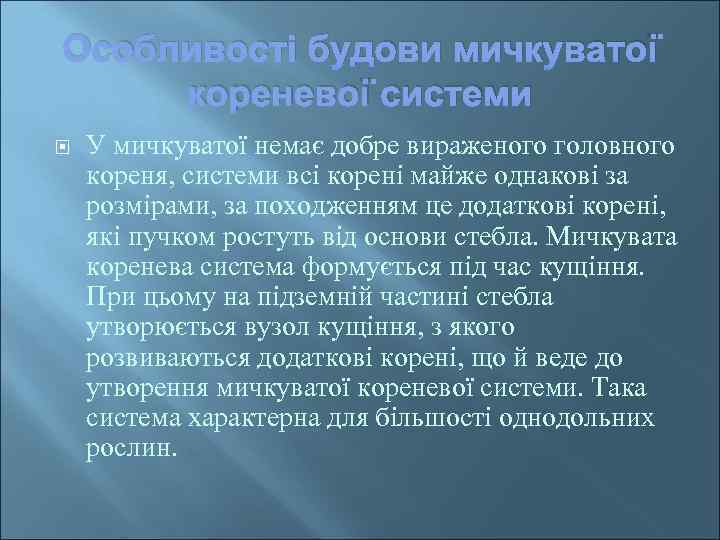 Особливості будови мичкуватої кореневої системи У мичкуватої немає добре вираженого головного кореня, системи всі