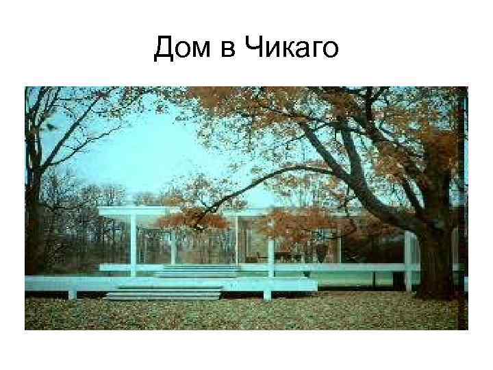 Дом в Чикаго 