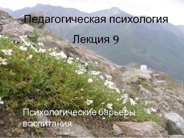Педагогическая психология Лекция 9 Психологические барьеры воспитания 
